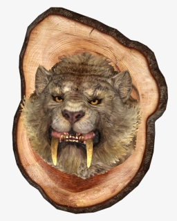 Mounted Sabre Cat Head - Cat Yawns, HD Png Download, Free Download