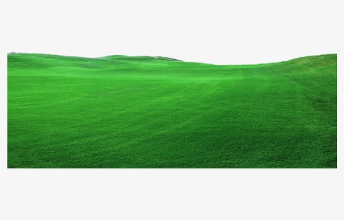 Png Rumput Landscape , Png Download - Lawn, Transparent Png, Free Download