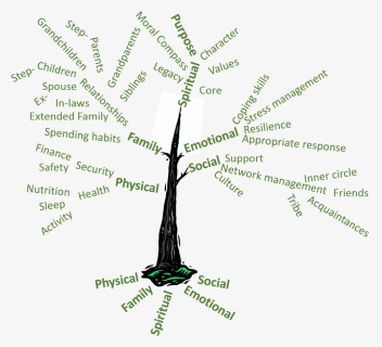 Transparent Tree Of Life Png - Tree Of Your Life, Png Download, Free Download