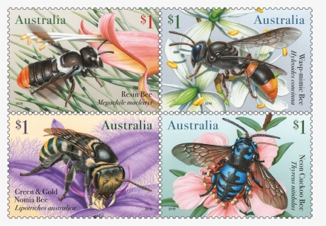 Transparent Bees Png - Australian Stamps 2019 Native Bees, Png Download, Free Download