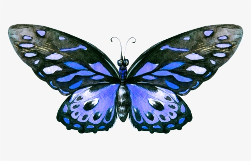 Hand Painted A Blue Butterfly Png Transparent - Painted Wood Butterfly, Png Download, Free Download