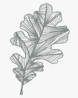 Leaf-moss - Sketch, HD Png Download, Free Download