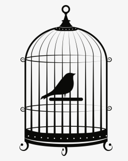 Cage Png Image Clipart , Png Download, Transparent Png, Free Download