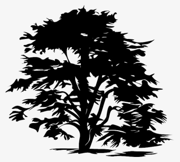 Black And White Tree Clip Art Png, Transparent Png, Free Download
