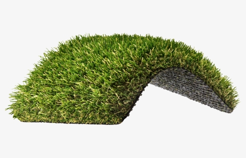 Hedge , Png Download - Lawn, Transparent Png, Free Download