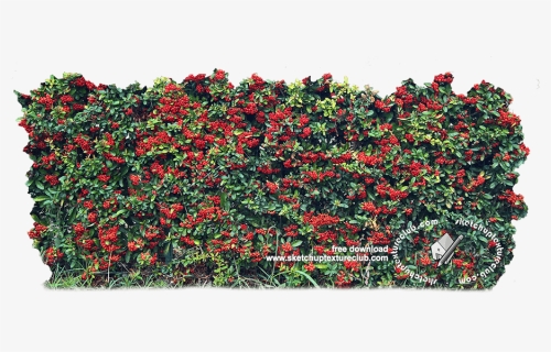 18709 Cut-out Autumnal Hedge Texture, HD Png Download, Free Download
