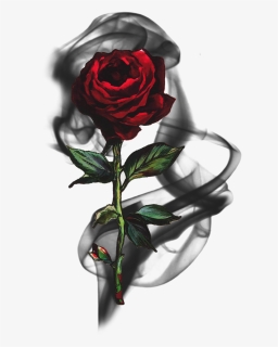 #rose #smoke #blackrose #rosesmoke #flowersmoke - Black Red Rose Png, Transparent Png, Free Download