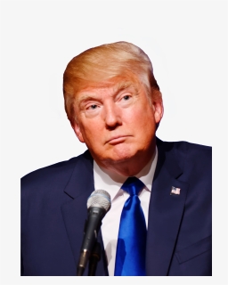 Donald Trump Just Had His Worst Hair Day, And It Had - 20 Yr Old British Man, HD Png Download, Free Download