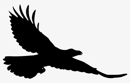 Silhouette Flying Falcon Png Transparent Image - Raven Flying Clip Art, Png Download, Free Download