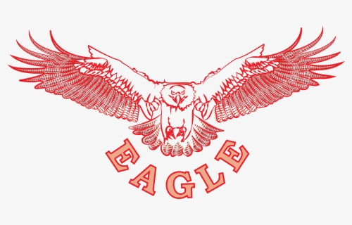 Osprey, Eagle, Falcon , Png Download - Golden Eagle, Transparent Png, Free Download