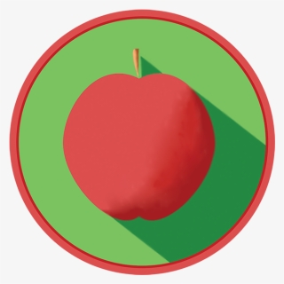 Apple Icon Icons Icon Apple Illustrator - Apple, HD Png Download, Free Download