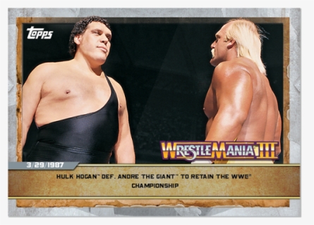 Hulk Hogan™ Def - Wwf Hulk Hogan 80s, HD Png Download, Free Download