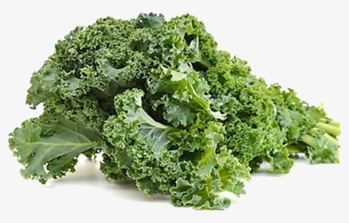 Marketed In Denmark By Bioforce Danmark As - Organic Fresh Kale, HD Png Download, Free Download