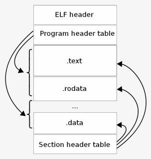 Elf Layout En - Difference Between Executable Code And Bytecode, HD Png Download, Free Download