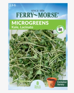 Kale Lacinato Microgreen Seed - Seed, HD Png Download, Free Download
