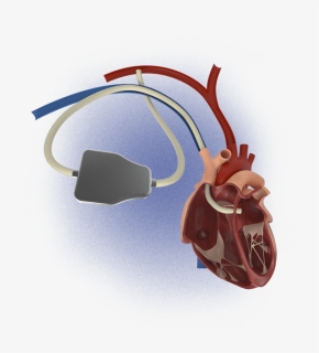 Cable, HD Png Download, Free Download