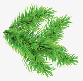 Christmas Trees Leaves Png Images With Different Sizes - Leaf From Christmas Tree, Transparent Png, Free Download