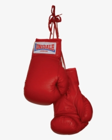 Boxing Gloves Duo - Transparent Background Boxing Gloves Png, Png Download, Free Download