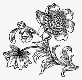 Big At Getdrawings - Black And White Flower Drawing Png, Transparent Png, Free Download