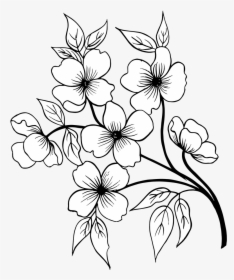 Flower Hand Drawn Png, Transparent Png, Free Download