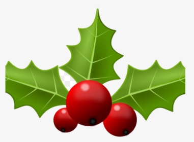 Holly Leaf Portable Network Graphics Clip Art Free - Holly Christmas Clipart Png, Transparent Png, Free Download