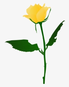Transparent Rose Png - Yellow Roses Pictures Png, Png Download, Free Download