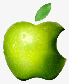 Apple Logo Png -apple Logo Png - Apple Transparent Logo, Png Download, Free Download