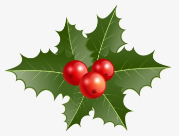 Christmas Leaf PNG Images, Free Transparent Christmas Leaf Download ...