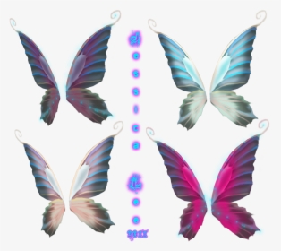 Realistic Fairy Wings Png, Transparent Png, Free Download