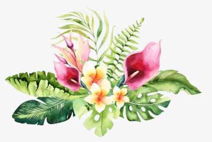 Hand Drawn Watercolor Tropical Flower , Png Download - Tropical Flowers Transparent Background, Png Download, Free Download