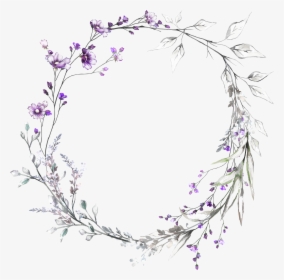 Lavender Flower Drawing Pictures And Cliparts, Download, HD Png Download, Free Download