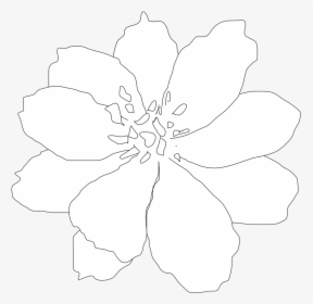 White Flowers Clip Art - Line Art, HD Png Download, Free Download