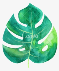 Transparent Watercolor Tropical Leaf, HD Png Download, Free Download
