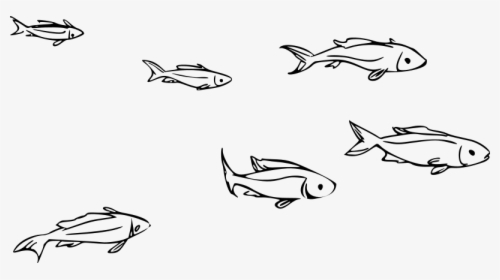 School Of Fish Png, Transparent Png, Free Download