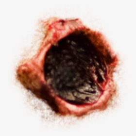 Transparent Bullet Hole Clipart - Bullet Hole Png Flesh, Png Download, Free Download