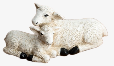 Nativity Sheeps Png, Transparent Png, Free Download