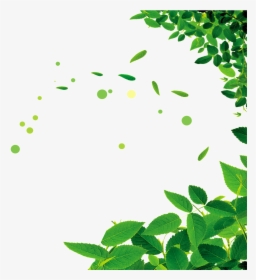 Beautiful Green Leaf Png - Leaves Border No Background, Transparent Png, Free Download