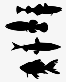 School Of Fish Transparent Clipart, HD Png Download, Free Download
