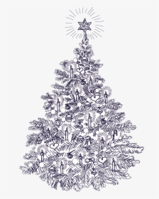 Clip Art Black And White Christmas Cards - Vintage Illustration Christmas Tree, HD Png Download, Free Download