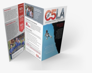 Trifold Brochure - 3 Fold Flyer Png, Transparent Png, Free Download