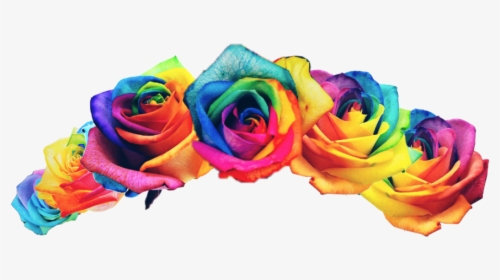 Rainbow Flower Crown Png, Transparent Png, Free Download