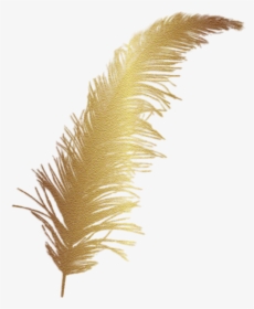 #feather #gold #accent #decal - Golden Feather Png, Transparent Png, Free Download
