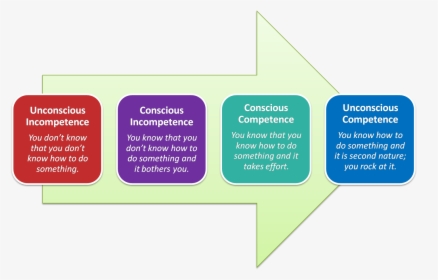 Stages Of Learning In Education, HD Png Download, Free Download