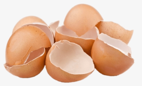 Cracked Eggshells - Egg Shells, HD Png Download, Free Download