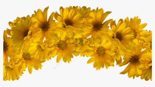 Free Png Yellow Flower Crown Transparent Png Image - Yellow Flower Crown Transparent Background, Png Download, Free Download