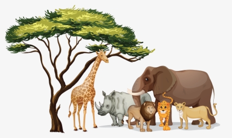 Pictures Of Jungle Animals Png - African Animals Clip Art, Transparent Png, Free Download
