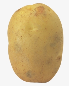 Potato Png Image - Transparent Potato White Background, Png Download, Free Download