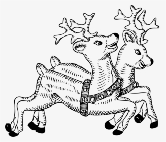 Art,monochrome Photography,deer - Christmas Reindeer Clipart Black And White, HD Png Download, Free Download