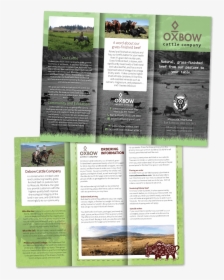 Oxbow Cattle Company Trifold Brochure - Cattle Tri Fold Brochures, HD Png Download, Free Download