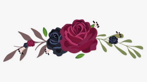 Garden Tea Rose,flowering Plant,botany,rose � Centifolia,clip - Vector Clipart Flower Png, Transparent Png, Free Download